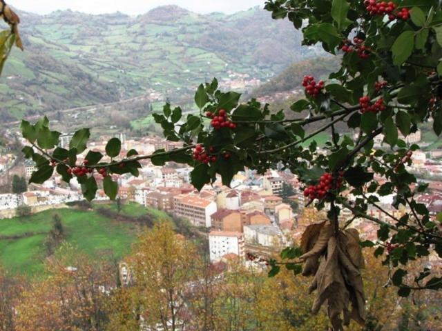 Hotel Ruta De La Plata De Asturias โปลา เด เลนา ภายนอก รูปภาพ