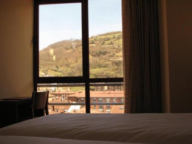 Hotel Ruta De La Plata De Asturias โปลา เด เลนา ภายนอก รูปภาพ